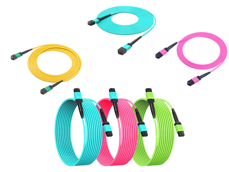 2.2-1 MPO Patch Cords